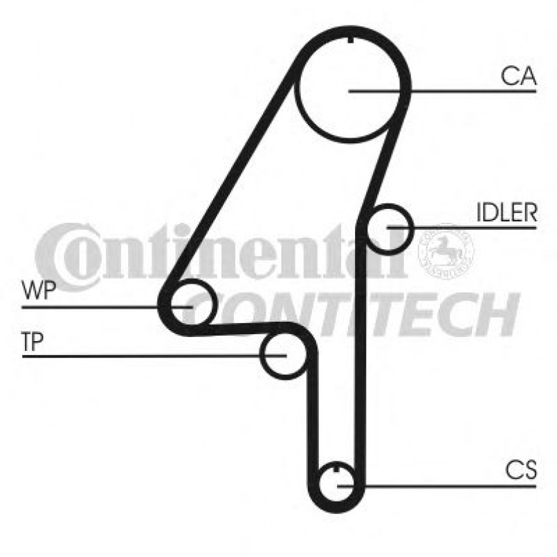 CT1010   Ремінь ГРМ CONTI SYNCHROBELT — фото товара №19