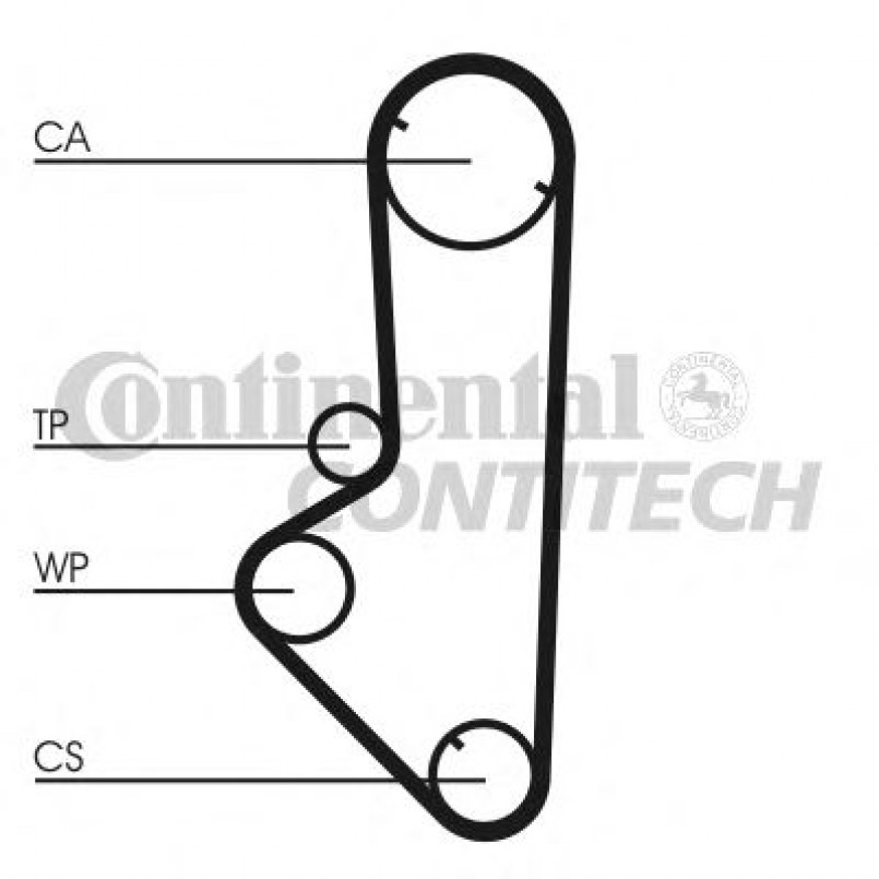 CT707   Ремінь ГРМ CONTI SYNCHROBELT — фото товара №19
