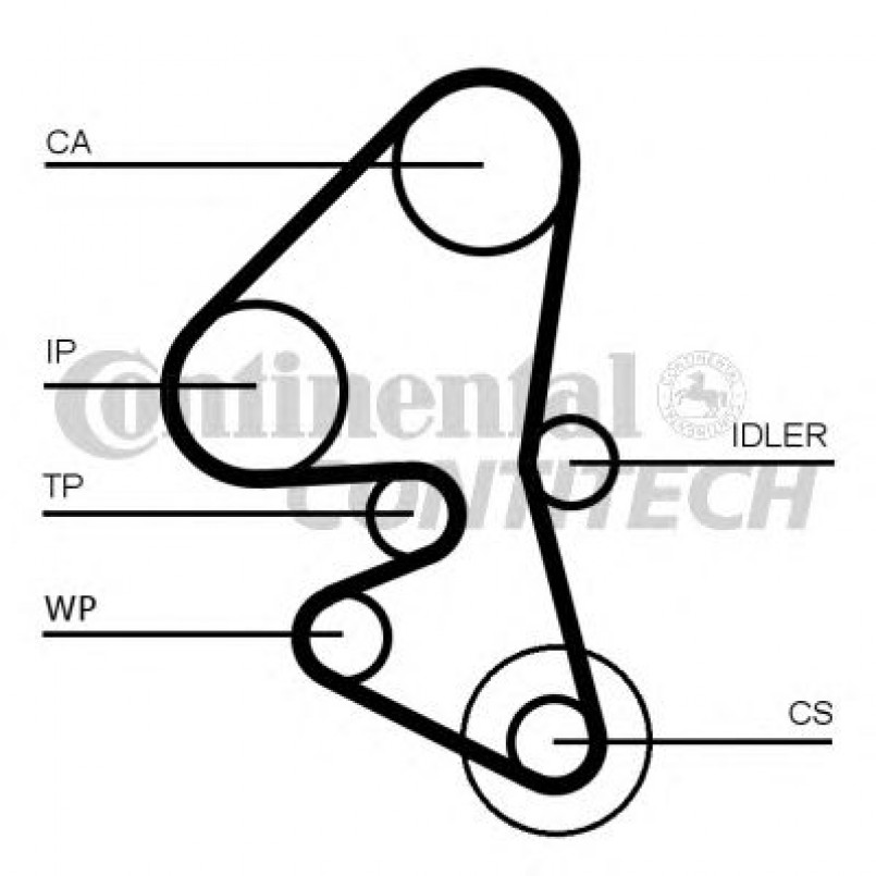 CT1162   Ремінь ГРМ CONTI SYNCHROBELT — фото товара №19