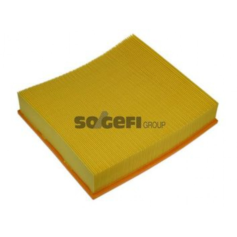 A1029     (PURFLUX) — фото товара №1