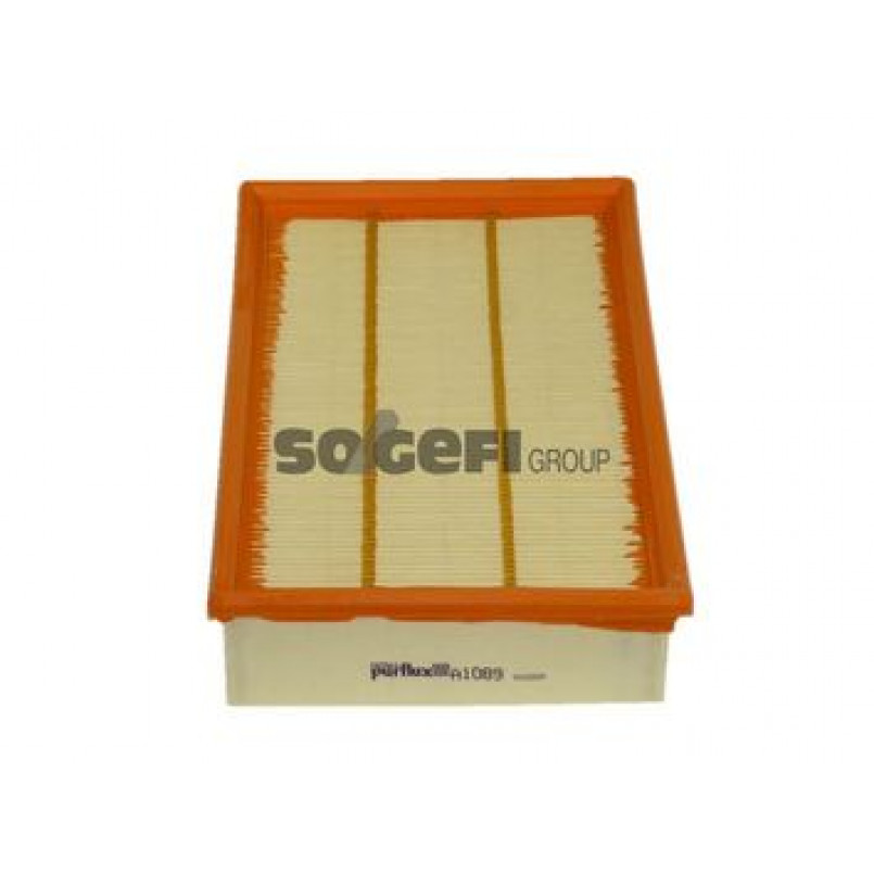 A1089     (PURFLUX) — фото товара №1