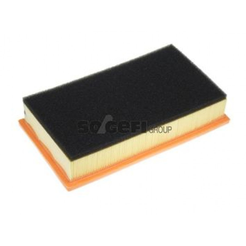 A1092     (PURFLUX) — фото товара №1