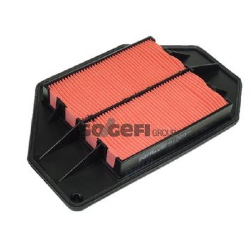 A1209     (PURFLUX) — фото товара №1