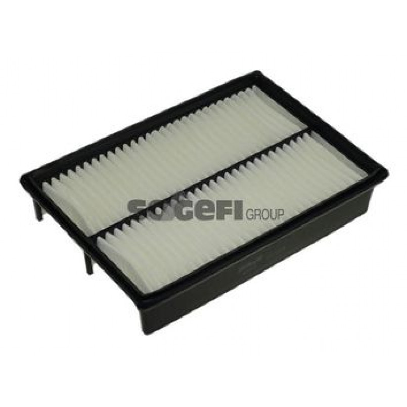 A1237     (PURFLUX) — фото товара №1