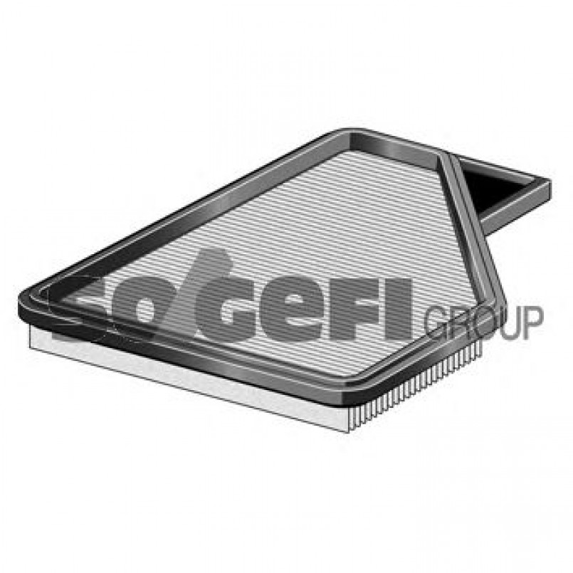 A1299     (PURFLUX) — фото товара №1