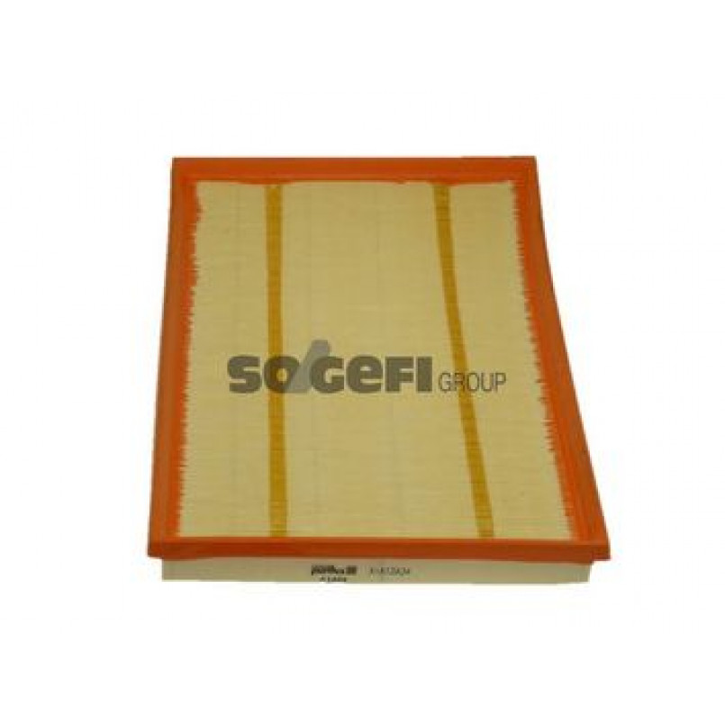 A1489     (PURFLUX) — фото товара №1