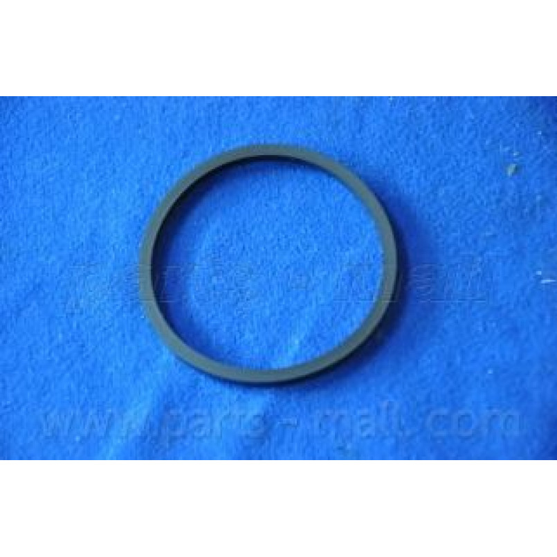 PXEAC-011F  PMC  -  Ремкомплект супорта гальмівного — фото товара №1