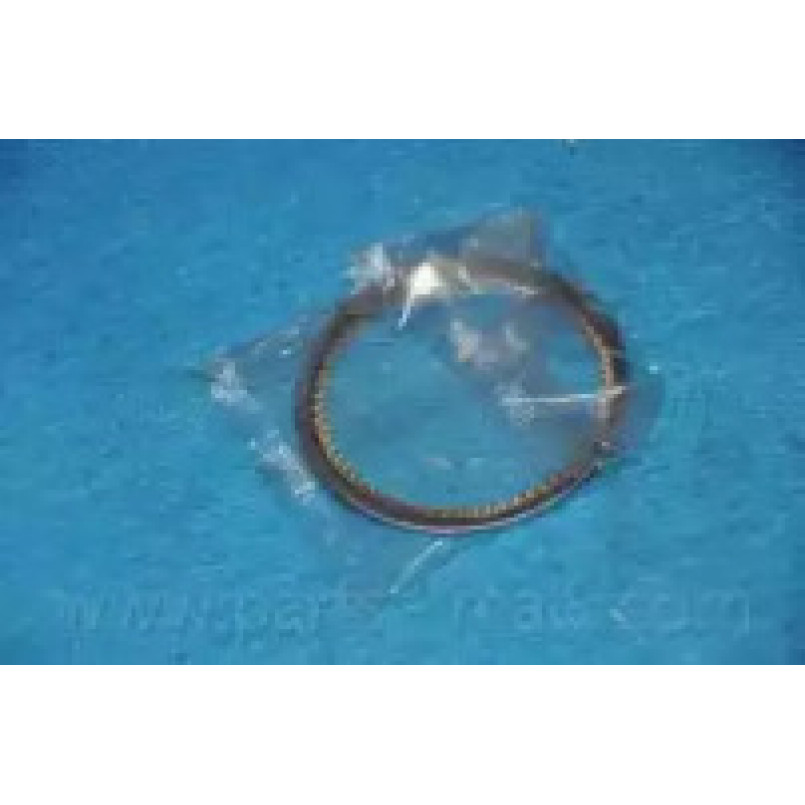 HCIC-040B  PMC-ESSENCE  -  Кільця поршня — фото товара №2