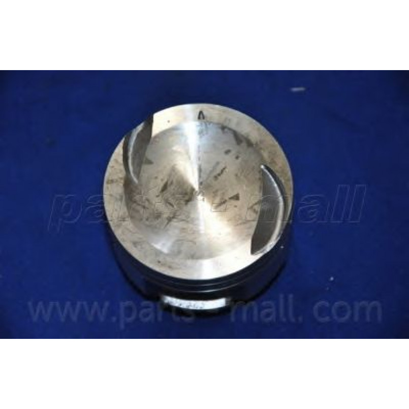 PXMSC-001A  PMC  -  Поршень — фото товара №7