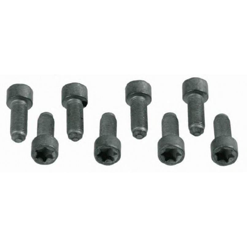 1874 000 031 SACHS  -  Болт маховика (комплект) — фото товара