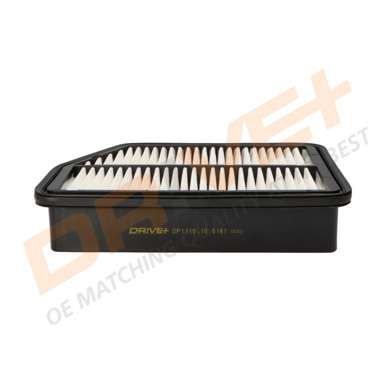 DP1110.10.0181 Drive+ - Фільтр повітря (аналог WA9710) — фото товара №1