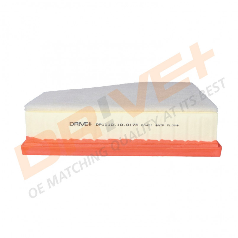 DP1110.10.0174 Drive+ Фільтр повітря (аналог WA9601) — фото товара №1