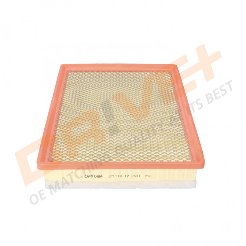 DP1110.10.0551 Drive+ Фільтр повітря (аналог WA9519) — фото товара №1