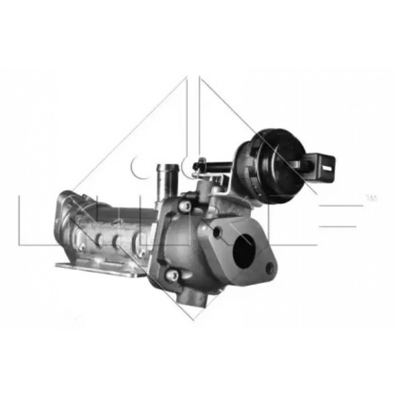 48011 NRF Радіатор відпрацьованих газів — фото товара №4