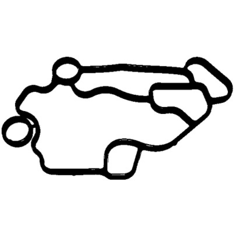 897.960 ELRING Прокладка корпуса фільтра масляного VW Passat 2.0 FSI 03-10 — фото товара №1