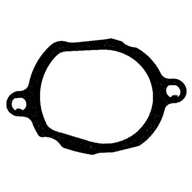 584.070 ELRING Прокладка термостату MB C-class (W203/W204) 2.5-5.5 04- — фото товара №1