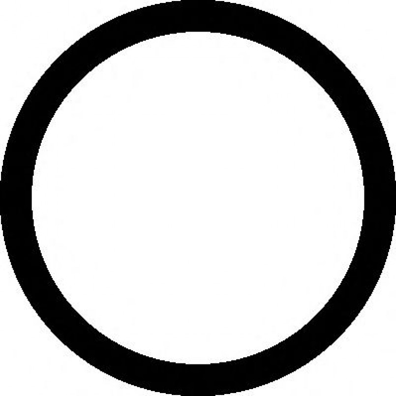 542.400 ELRING Прокладка колектора впускного VW Polo 1.2i 01-09 — фото товара