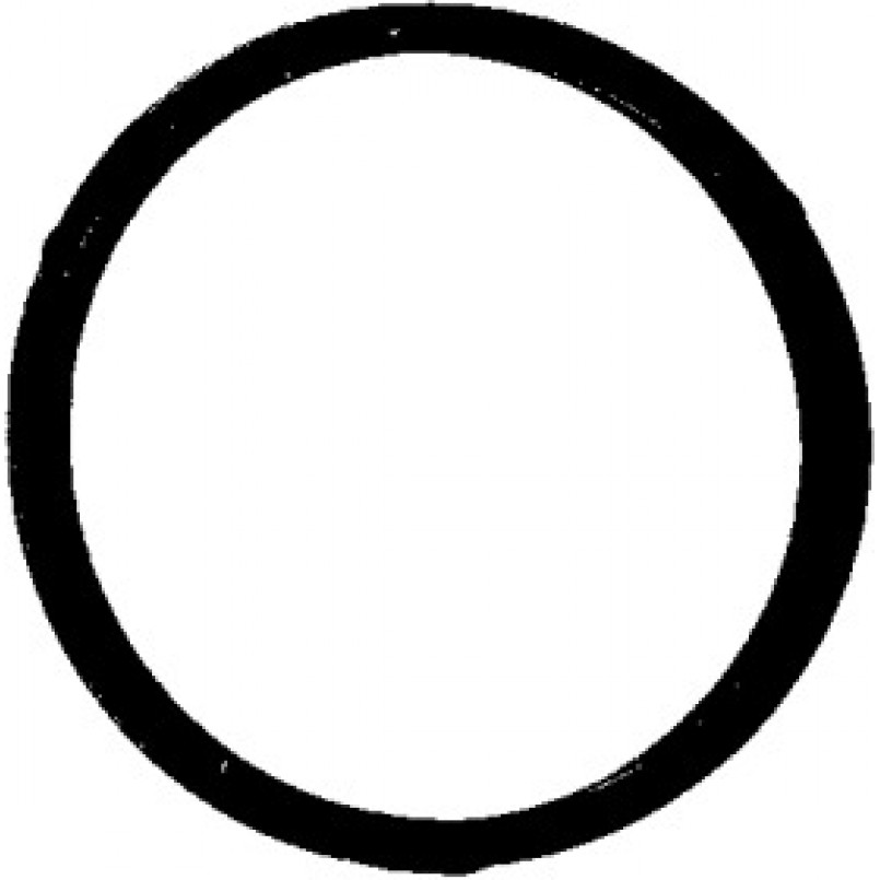 447.260 ELRING Прокладка термостата MB OM601-602 — фото товара