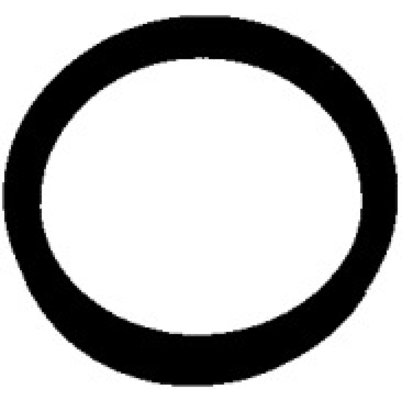 394.090 ELRING Прокладка термостата — фото товара №1