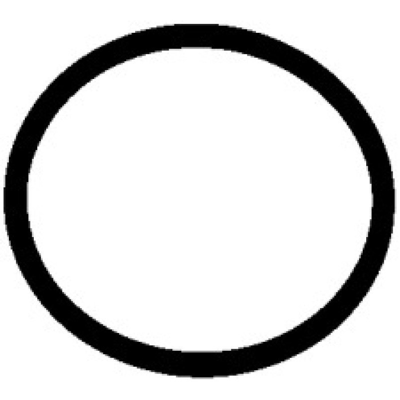 174.270 ELRING Прокладка насосу паливного Audi/VW/Ford/MB/Opel/Renault (31.5x2mm) — фото товара №1