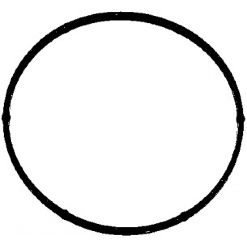 104.200 ELRING Прокладка помпи води Opel Astra/Combo/Vectra/Zafira 95- — фото товара